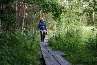 Särkkäniemi.