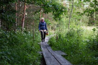 Särkkäniemi.