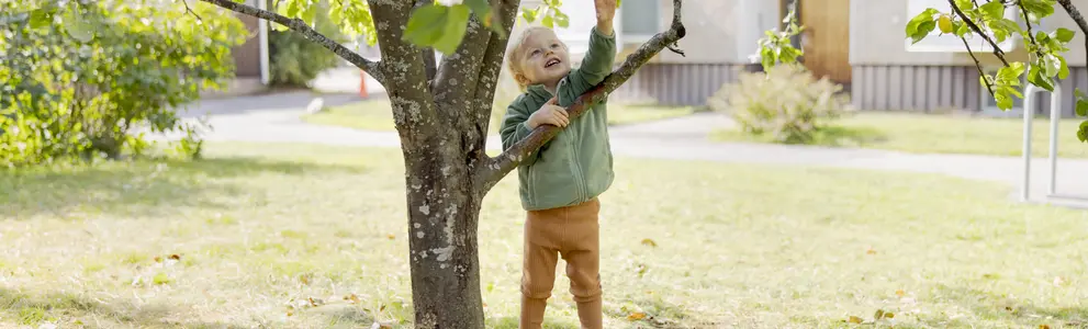 Lapsi seisoo puun alla ja kurottaa ylös oksia kohti.