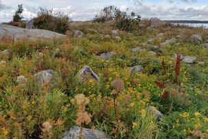Näkymä pitkärivin luodolta.