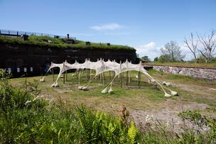 Ernesto Neto: Saarilintu, 2025. Helsinki Biennaali 8.6.–21.9.2025, Vallisaari
