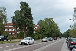 Autoja pysäköitynä kadulle.