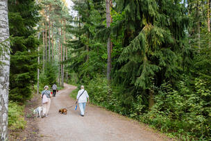 Kaksi naista ulkoiluttamassa koiriaan metsätiellä