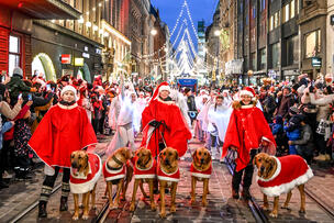 Ihmisiä ja koiria jouluparaatissa