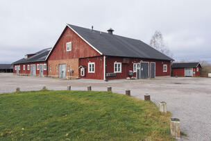 Haltialan tilaa.