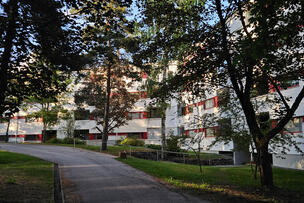 piha, puita, pihatie, rakennus