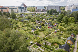 Ilmakuvassa näkyy Ruskeasuon siirtolapuutarha ja taustalla liikerakennuksia.