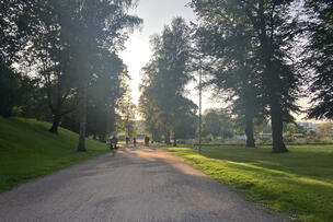 Svante Olssonin puistokuja.