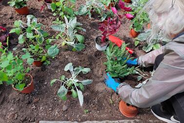 The traditional Karhupuisto planting event has been organised since 1997.  Photo: Armi Koskela