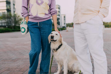 The purpose of the Dog Registry is to improve the wellbeing of dogs and to prevent illegal puppy trade. Photo: Julia Kivelä / Helsinki Partners