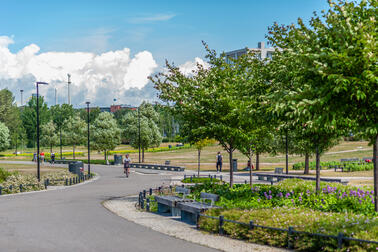 Töölönlahdenpuisto Park is one of Helsinki's best known recreation zones. Photo: Hemmo Rättyä