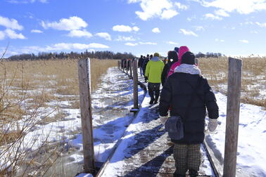 People walking in winter.