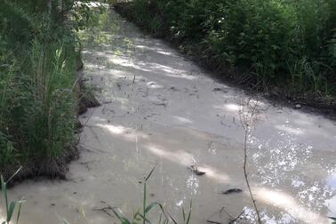 Stained water in Haaganpuro stream. Photo: Sini-Pilvi Saarnio.