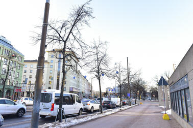 The majority of the tree felling along the Mannerheimintie road concerns renewing the rows of street trees. 