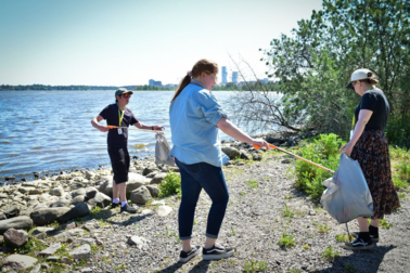 Clean-up event on the beach.