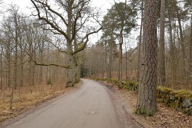 The potholed surface of Stansvikintie will be repaired. Photo: Helsingin kaupunki / Helsingfors stad