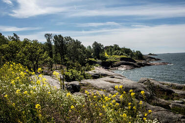 Vallisaari beach.