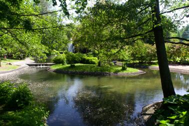 A beautiful green view of Alppipuisto Park and its pond.