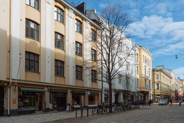 New trees planted on Iso Roobertinkatu. This photo is from 2018. Photo: Jenna Pietikäinen / Helsinki Partners