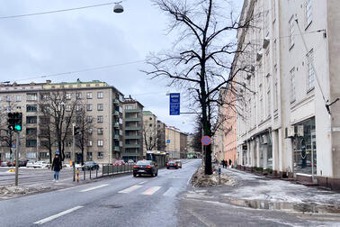 Katupuita Mannerheimintiellä Sallinkadun kohdalla. Kuva: Mannerheimintien peruskorjaus.