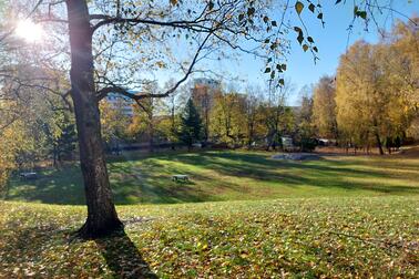 View to Oravapuisto park.