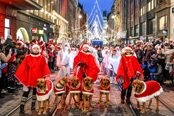 People and dogs in the Christmas parade.