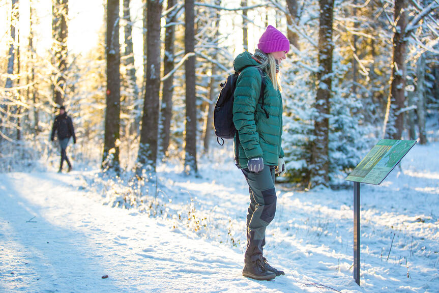 Retkeilijä tutkii opastetaulua Uutelan Metsäluontopolulla.