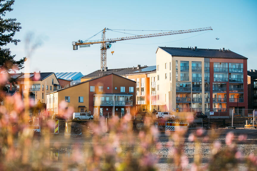 Kaupunginvaltuuston hyväksymä Helsingin rakennusjärjestys vahvistaa luontoarvojen huomioimista ja vapauttaa aiempaa useampia toimenpiteitä toimenpideluvan hakemisesta.  Kuva: Jussi Hellsten