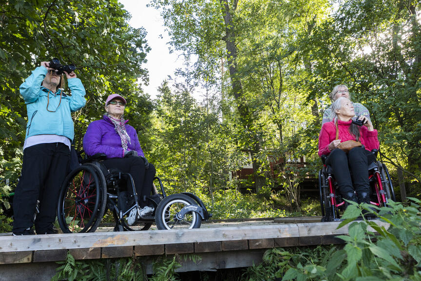 Ihmiset katselevat luontoa metsässä seisten ja pyörätuoleissa.