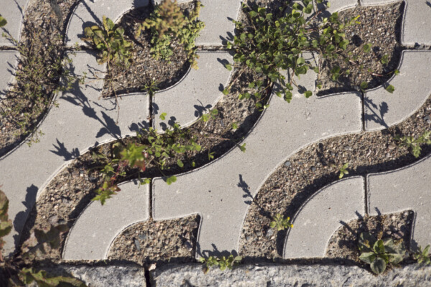 Kivilaattoja, jonka väleistä kasvaa vihreää.