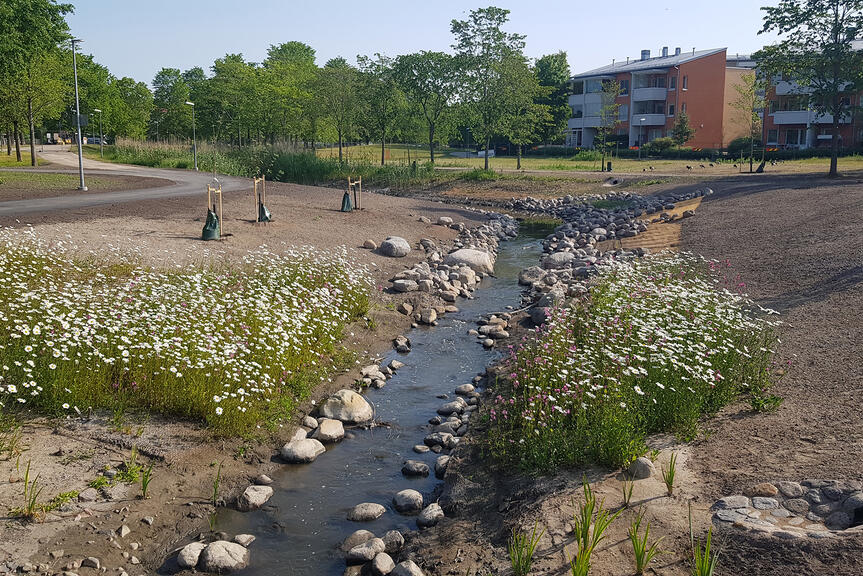 Haaganpuron uusi uoma ja Tilkanniityn puistoa