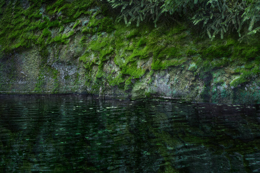 Moss grows on the cliff of Vallisaari island.