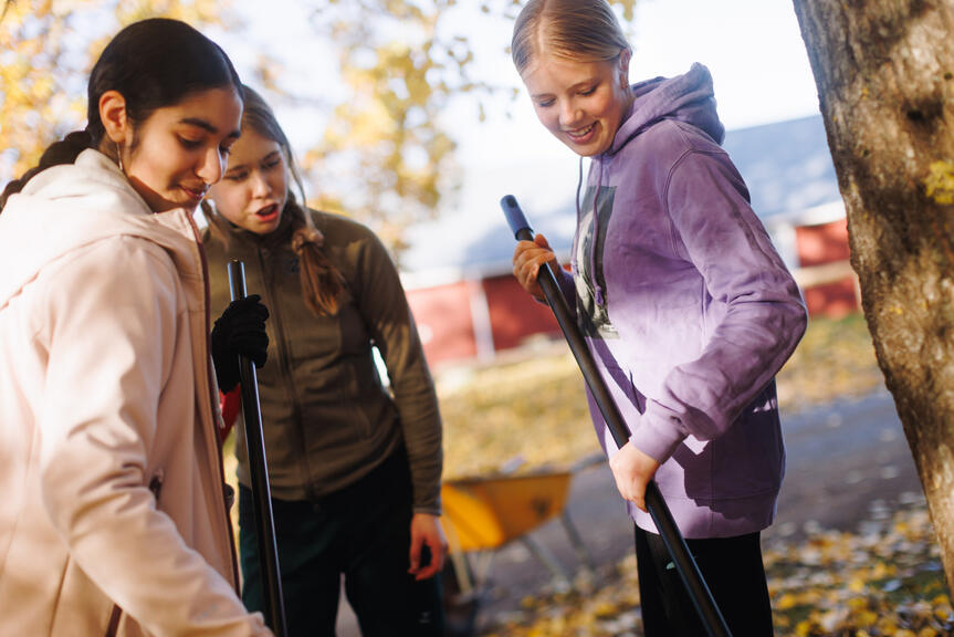 Three smiling young people are raking leaves.