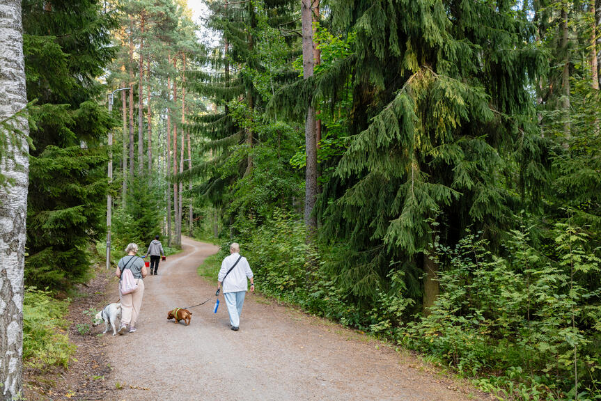 Kaksi naista ulkoiluttamassa koiriaan metsätiellä