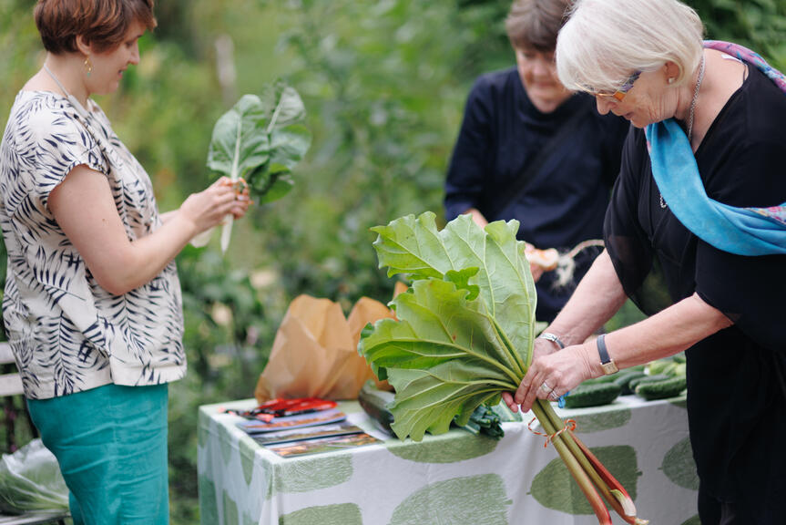 "People picking vegetables."