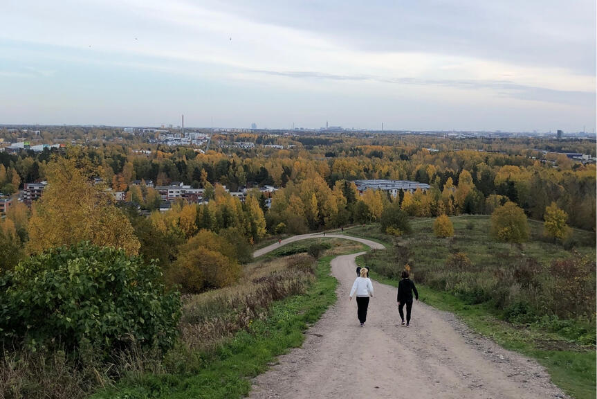 Kuva Malminkartanonhuipulta, taustalla puita ruskan sävyissä.