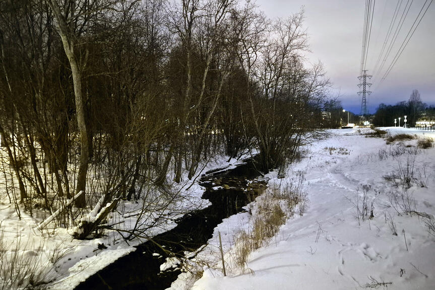 Talvinen Mustapuro Myllypuron liikuntapuistossa.