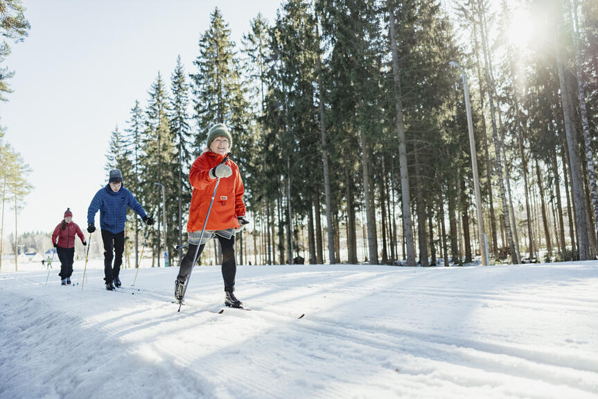 Kolme henkilöä hiihtää aurinkoisena päivänä metsässä kulkevalla ladulla.