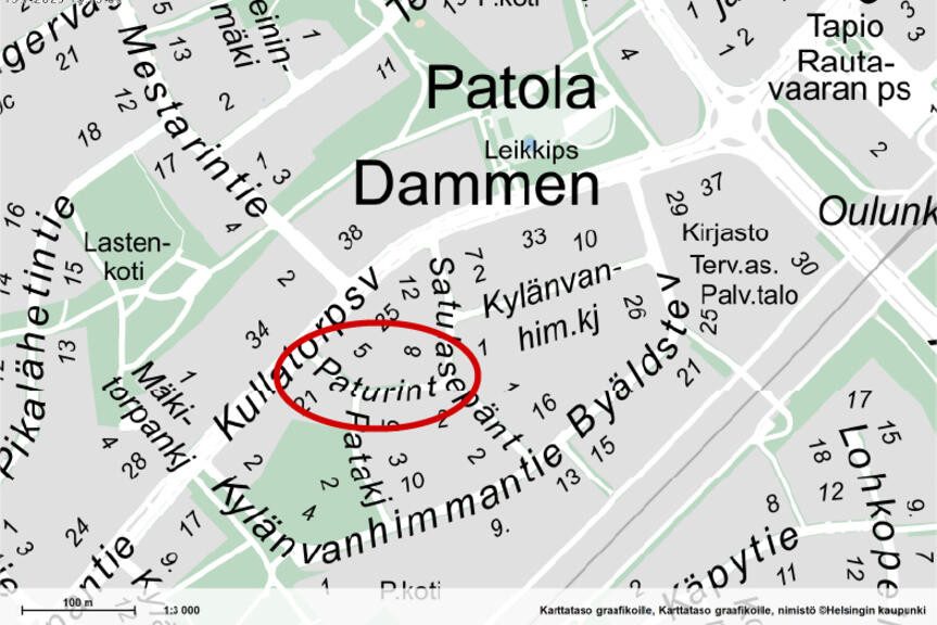 Karttakuva, johon on merkitty Paturintie