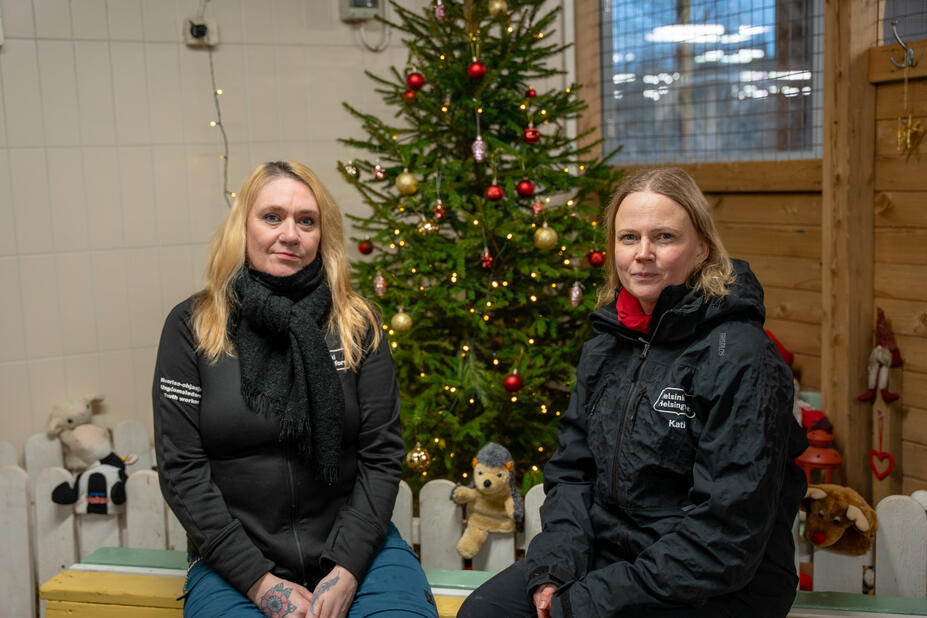 Kaksi naista joulukuusen edessä.