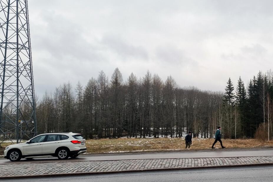 Tiellä kulkee auto ja tien takana kasvaa puita.