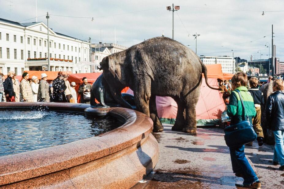 En elefant dricker ur fontänen.