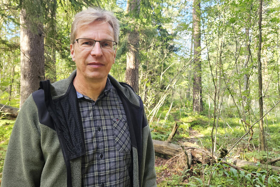 Metsäpalvelupäällikkö Mikko Vuohelainen metsässä.