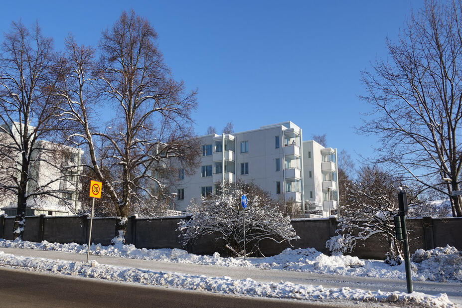 Kuvassa etualalla säilytettäviä puita ja takana asuinrakennukset, jotka puretaan.