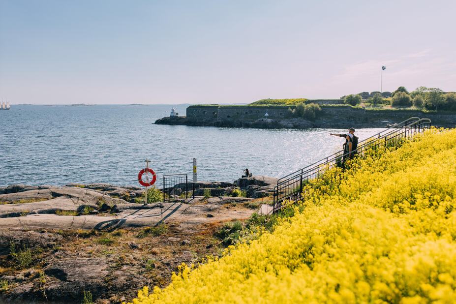 Keltaisia kukkia Vallisaaren rannassa.