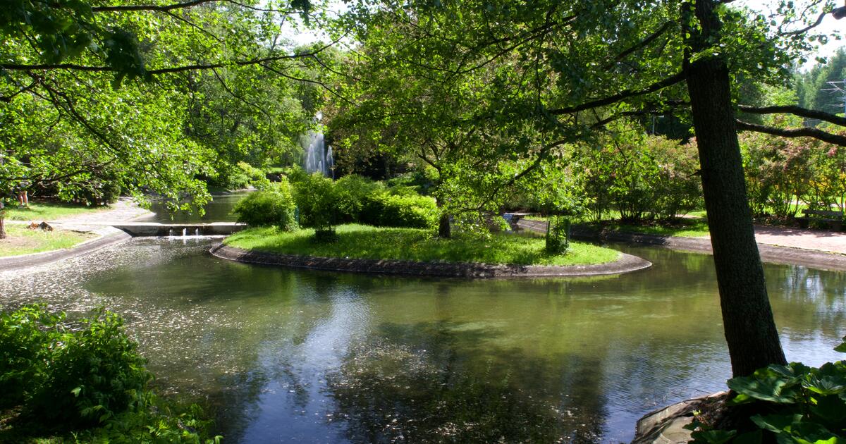 Alppipuiston kesän 2025 tapahtumia tuetaan kulttuurin avustuksilla