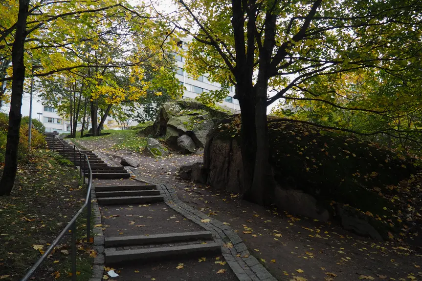 There is a large staircase in the park.