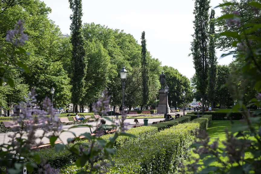 Kasvillisuutta, hiekkakäytävä ja patsas puistossa.