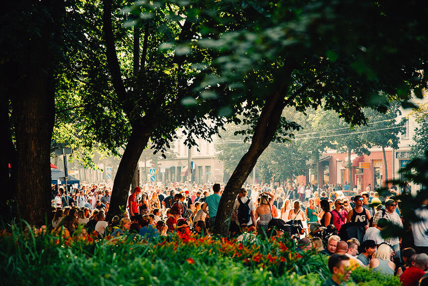 Kesäisessä Kallio Block Party -tapahtumassa on ihmisiä ulkona kadulla.