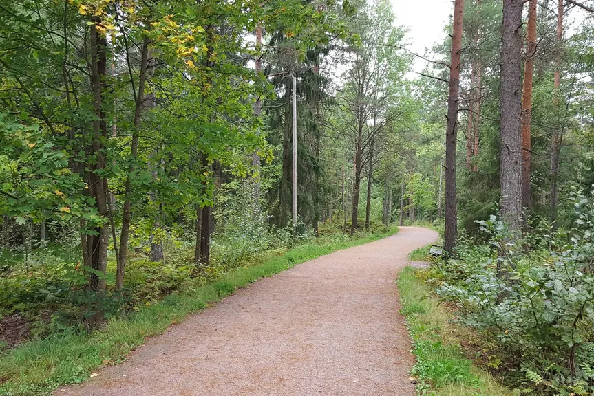 Ulkoilumetsän keskellä kulkee hiekkatie ja sen reunalla on valaisin.